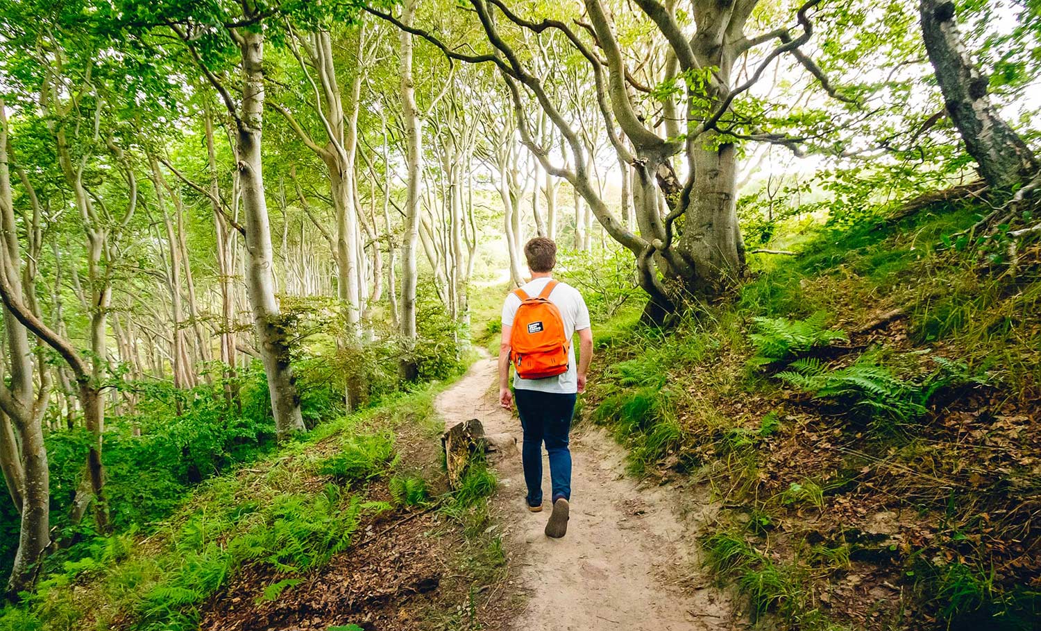 Writing your New Year's Health Story