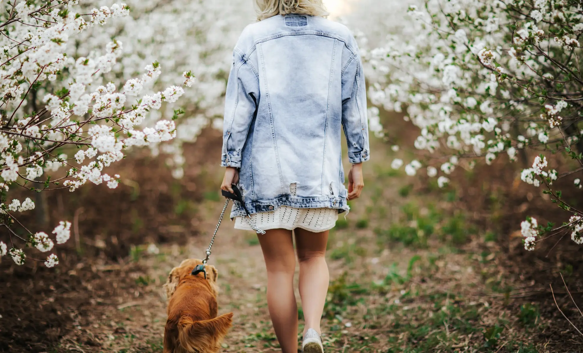 lady walking her dog on a trail