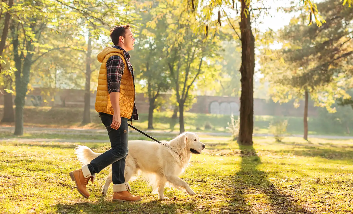 man walking his dog on a sunny fall morning