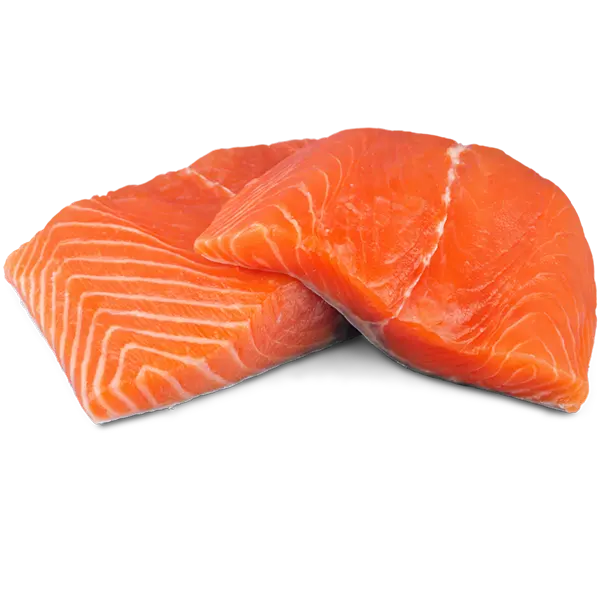 fresh salmon