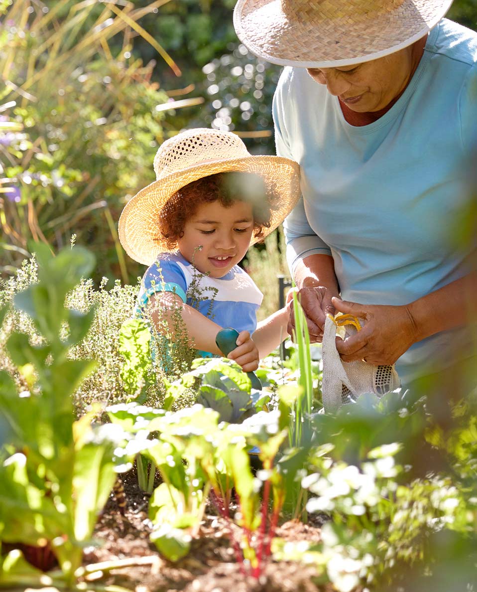 Grandmother with her grandson gardening, both with a wide hat to block the sun