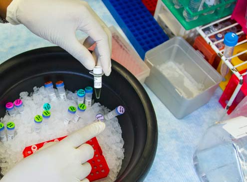 lab technician testing samples