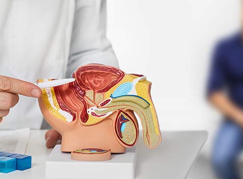 urology