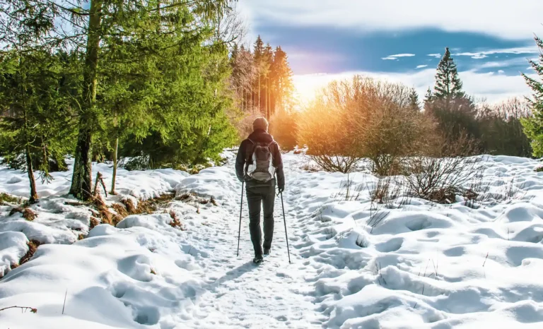 Six Healthy Lifestyle Habits to Shape Your Heart Health